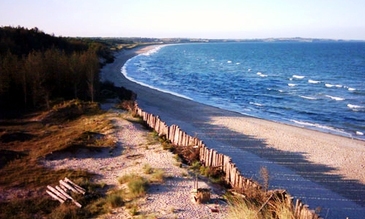 Loughshinny beach